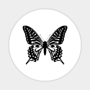 Butterfly in black and white Magnet